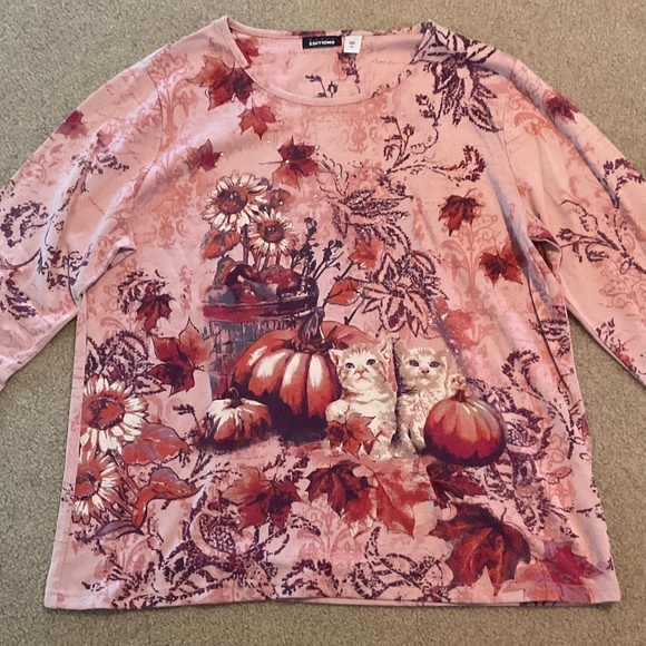size XL, bust is up to 44 inches, kittens and pumpkins shirt, new 🐈‍⬛ condition - Picture 3 of 7